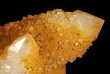 Sunshine Cactus Quartz Crystal - South Africa #93687-2